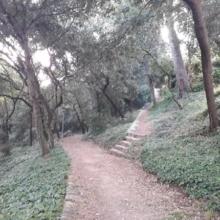 Apartament Origen, A 5 Minutos Andando De La Playa *